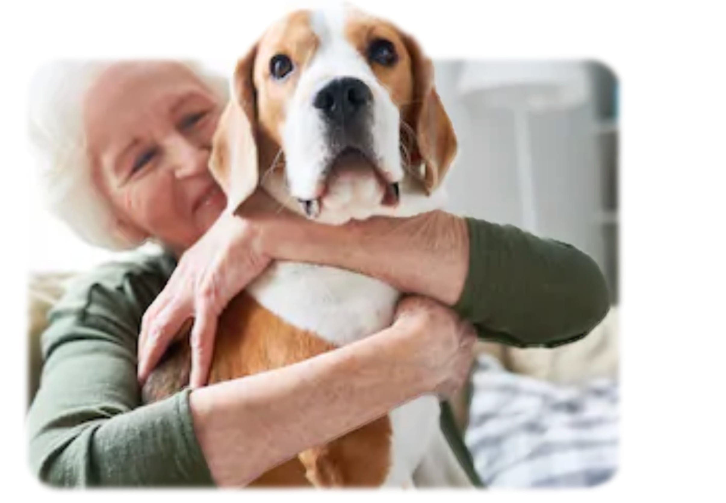Handler with service dog for comfort and support.