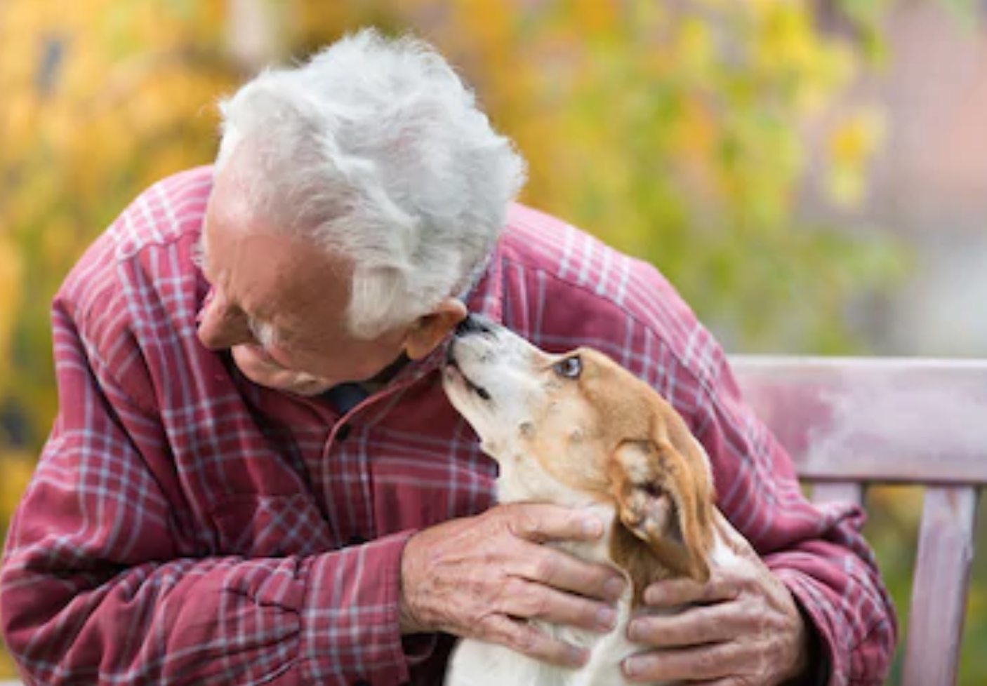 Emotional Support Animal Kissing Man