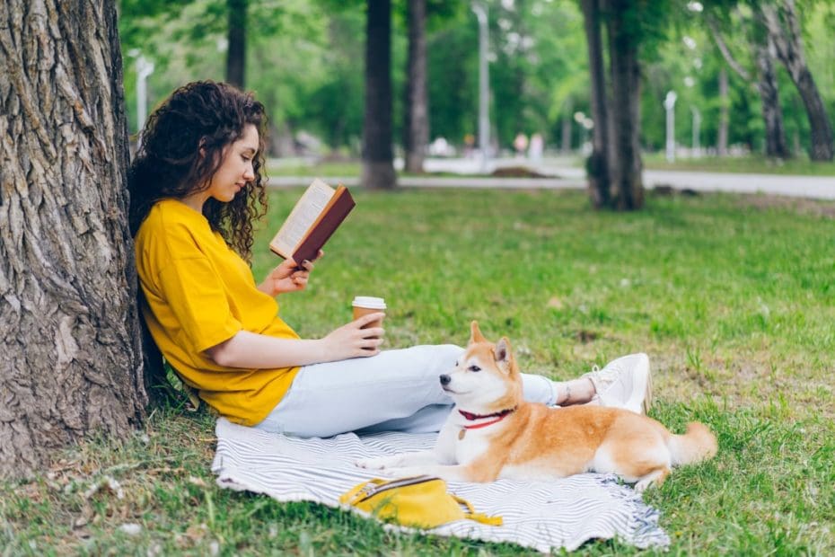 service dog public access — 5 Things People Get Wrong About Service Dog Public Access Rights