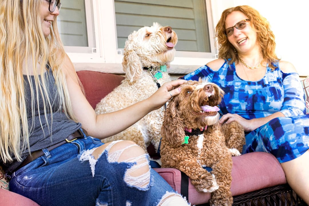 reasonable accommodation. Woman in blue shirt holding brown long coated dog