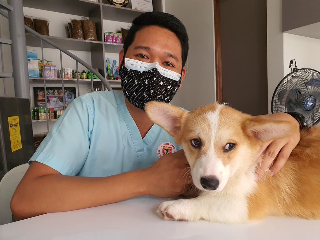 service dog public access. A man wearing a face mask sitting next to a dog