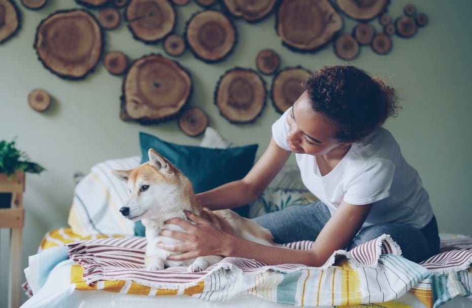 support animals anxiety — How Support Animals Help with Anxiety: Research-Based Evidence for Real Mental Health Relief