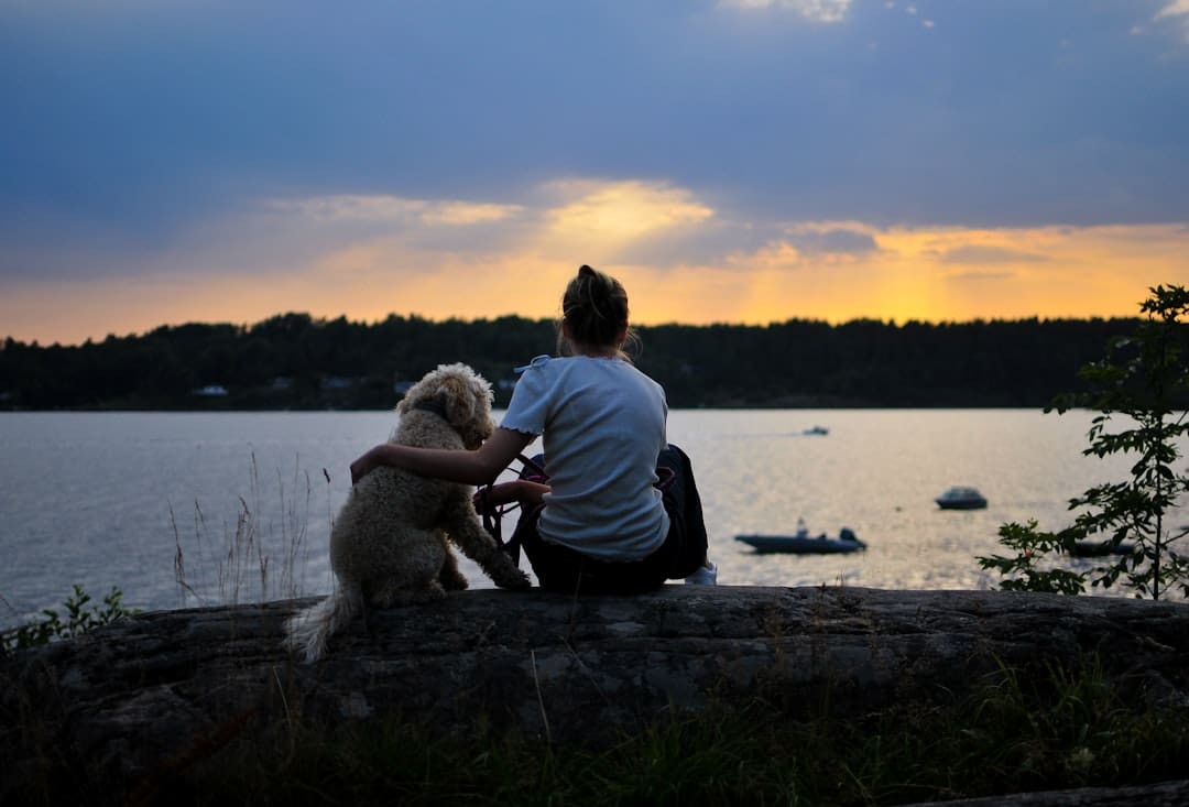 support animals anxiety — a man sitting on a rock with a teddy bear