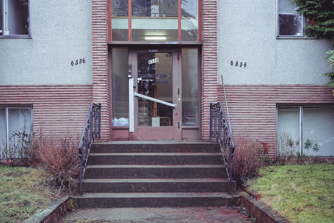 college dorm support animal. A set of stairs leading up to a building