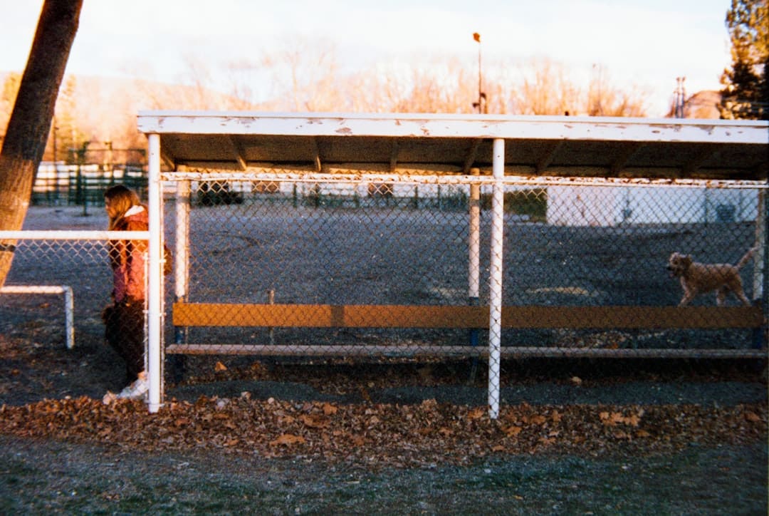 legitimate support animal. A person stands near a bus stop with a dog.
