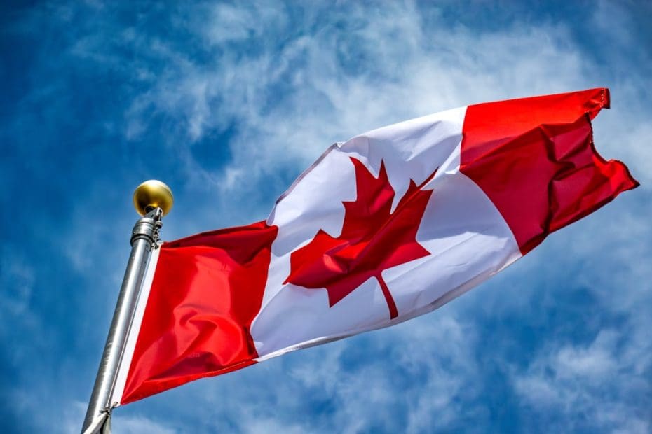CADI service dog certification — 7 Essential CADI Service Dog Certification Requirements Every Canadian Owner Must Know in 2026
