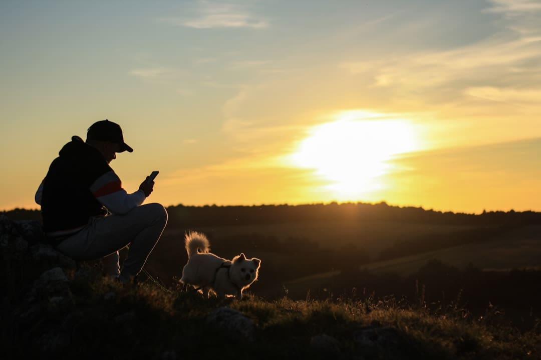 support animals. People sitting on grass field with dogs during sunset