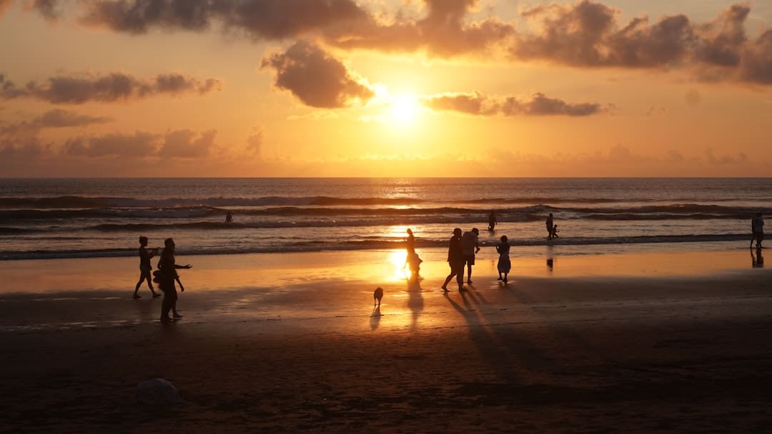 support animals depression. People walking on a beach at sunset