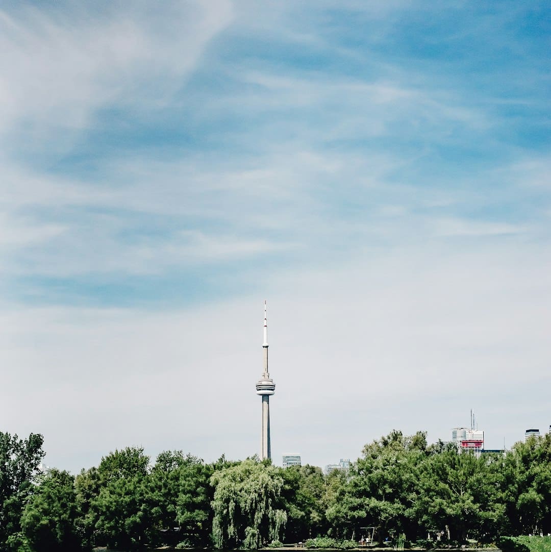 flying with a Support Animal — green trees under blue sky during daytime