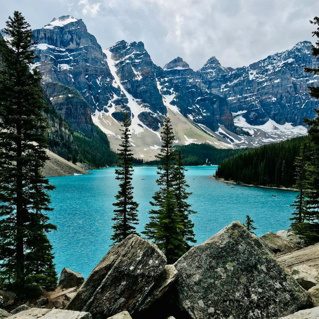 ontario support animal housing rights — green pine trees near lake and snow covered mountain during daytime