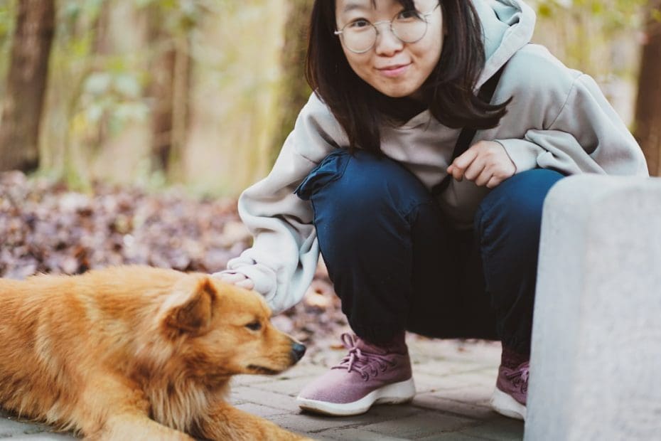 service dog public access — Service Dog Public Access Rights: What People Get Wrong
