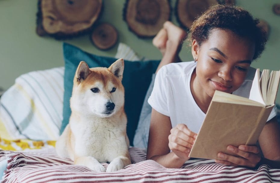 service dog vs support animal — Service Dog vs Support Animal: Why the Legal Difference Matters
