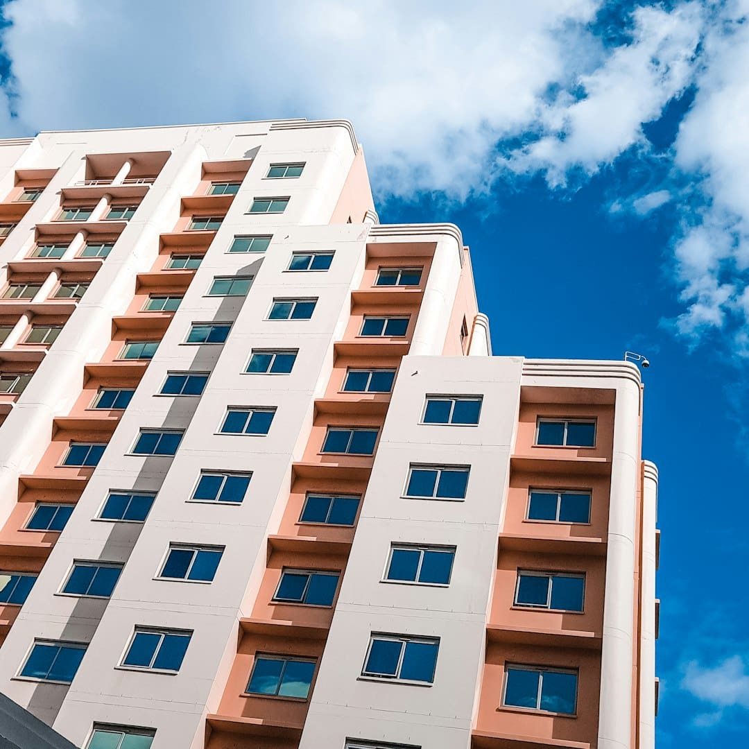 support animal damage — white and brown concrete building under blue sky during daytime