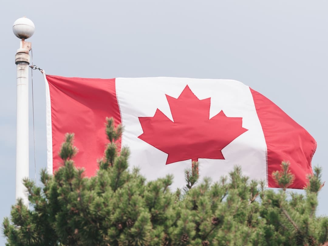 support animal rights — a canadian flag is flying in the wind