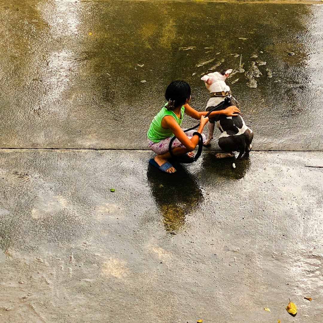 autism support animal — a little girl playing with a dog in the rain
