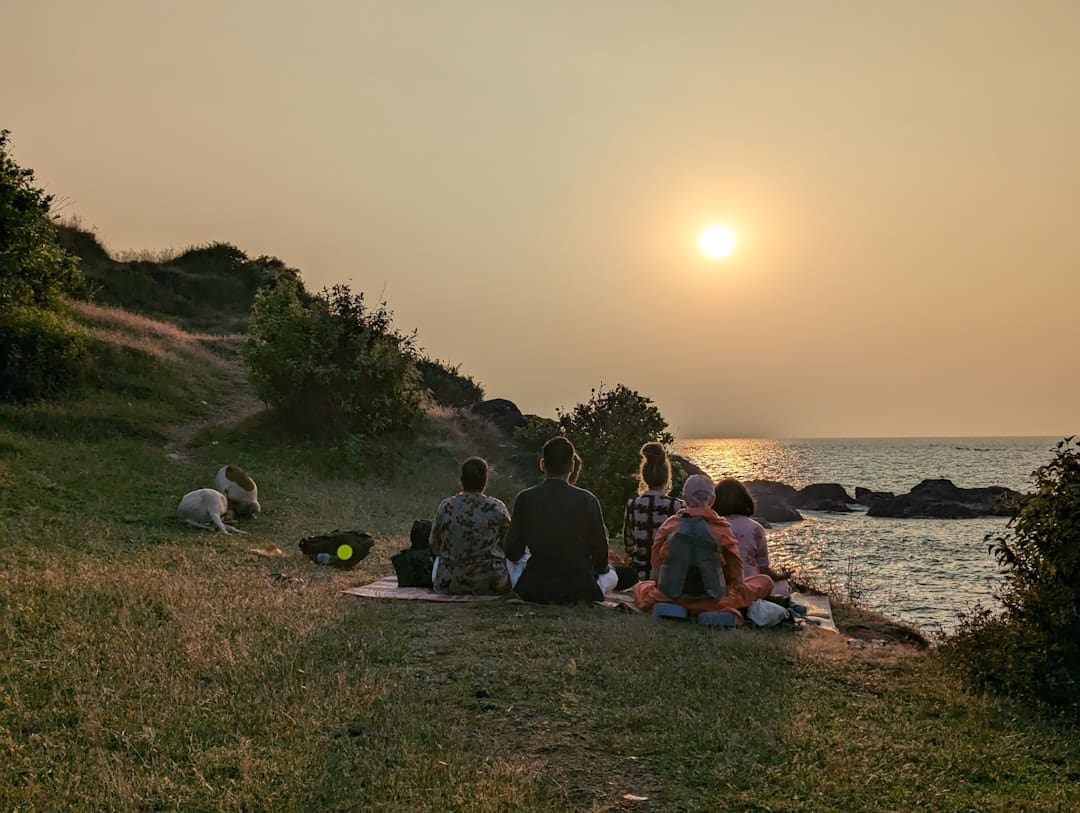 autism support animal — People watch sunset over the ocean with a dog.