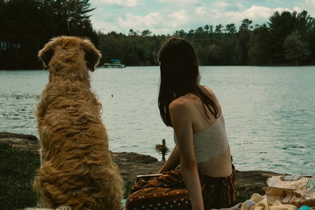petting a dog — A woman sitting next to a dog on a beach