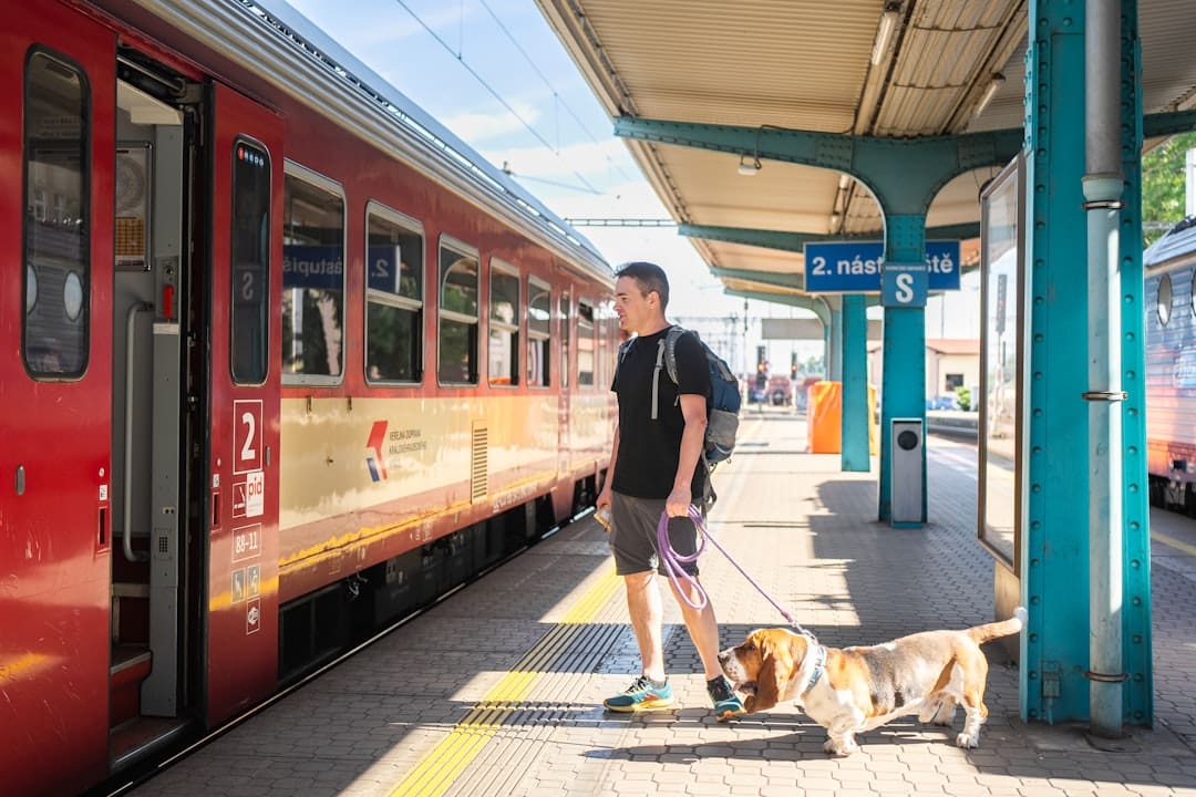 deep pressure therapy — Man with dog waits for train at station.