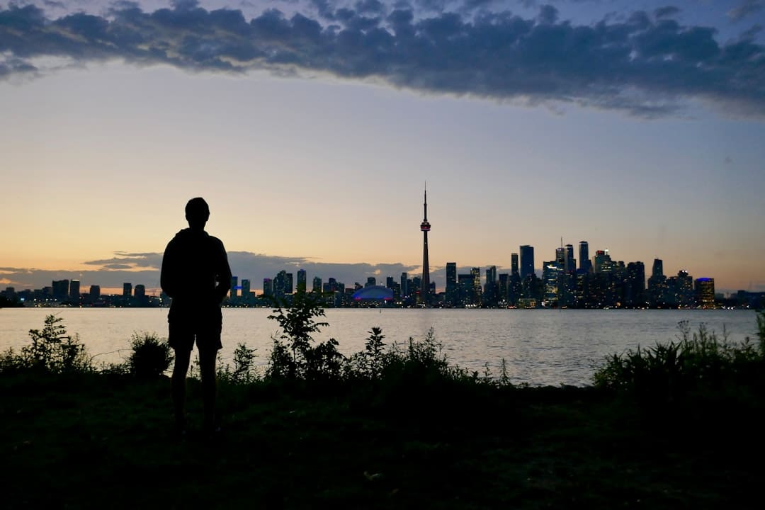 support animal canadian airlines — silhouette of a man standing on the grass in front of the city