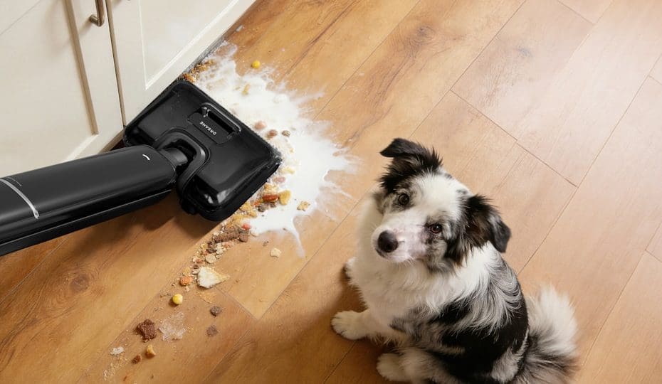 psychiatric service dog tasks — Psychiatric Service Dog Tasks: What a Dog Can Actually Do for Mental Health