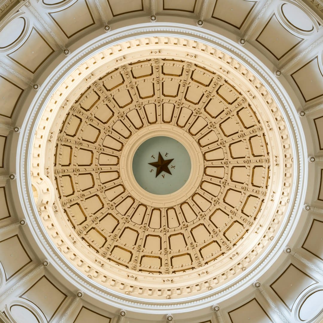 support animal laws — the ceiling of a building with a star on it