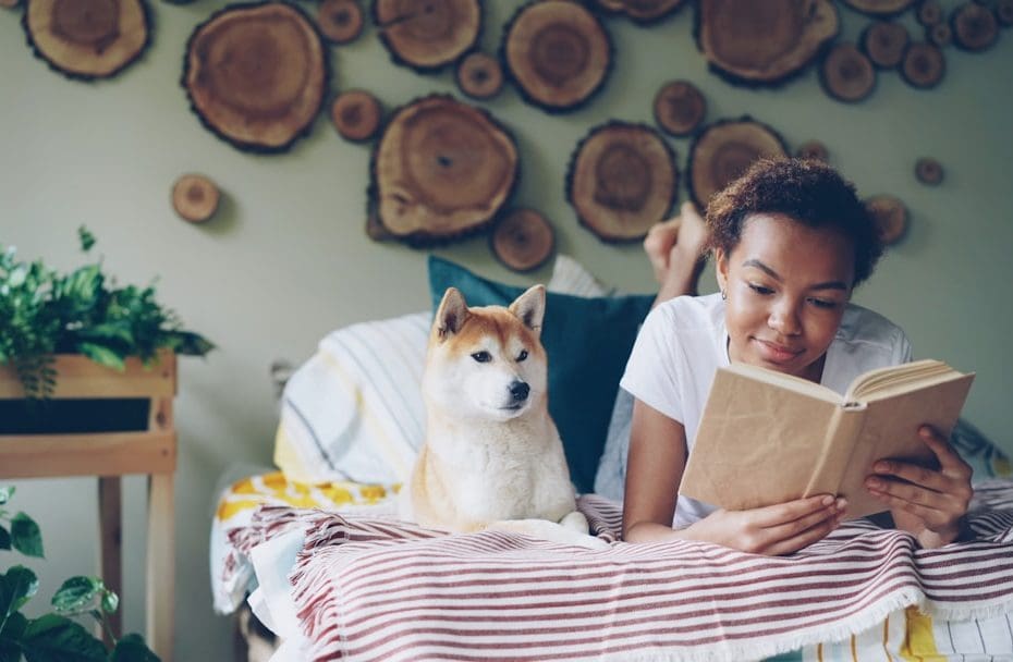 support animal registry — Support Animal Registry Scams: What Real Documentation Actually Looks Like