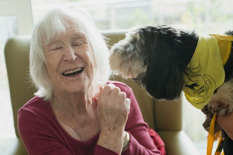 legitimate support animal evaluation — What Does a Legitimate Support Animal Evaluation Actually Look Like?