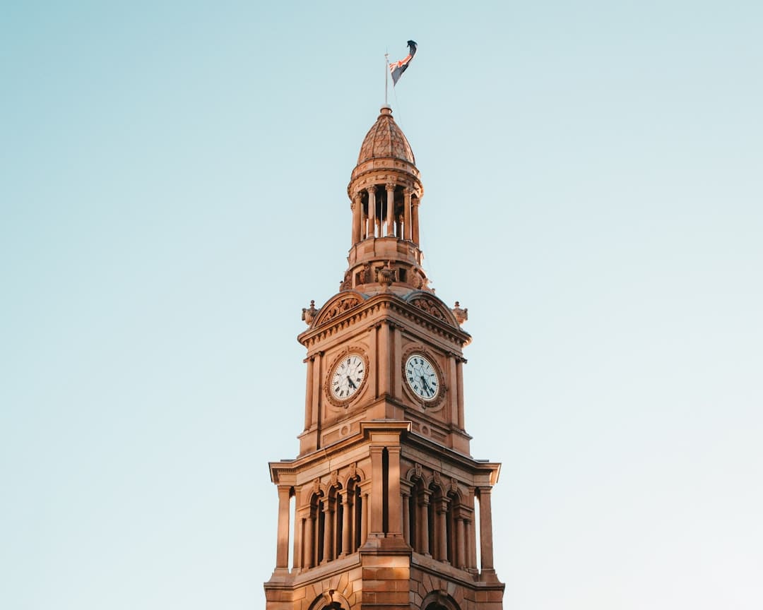 ADA service dog — brown clock tower