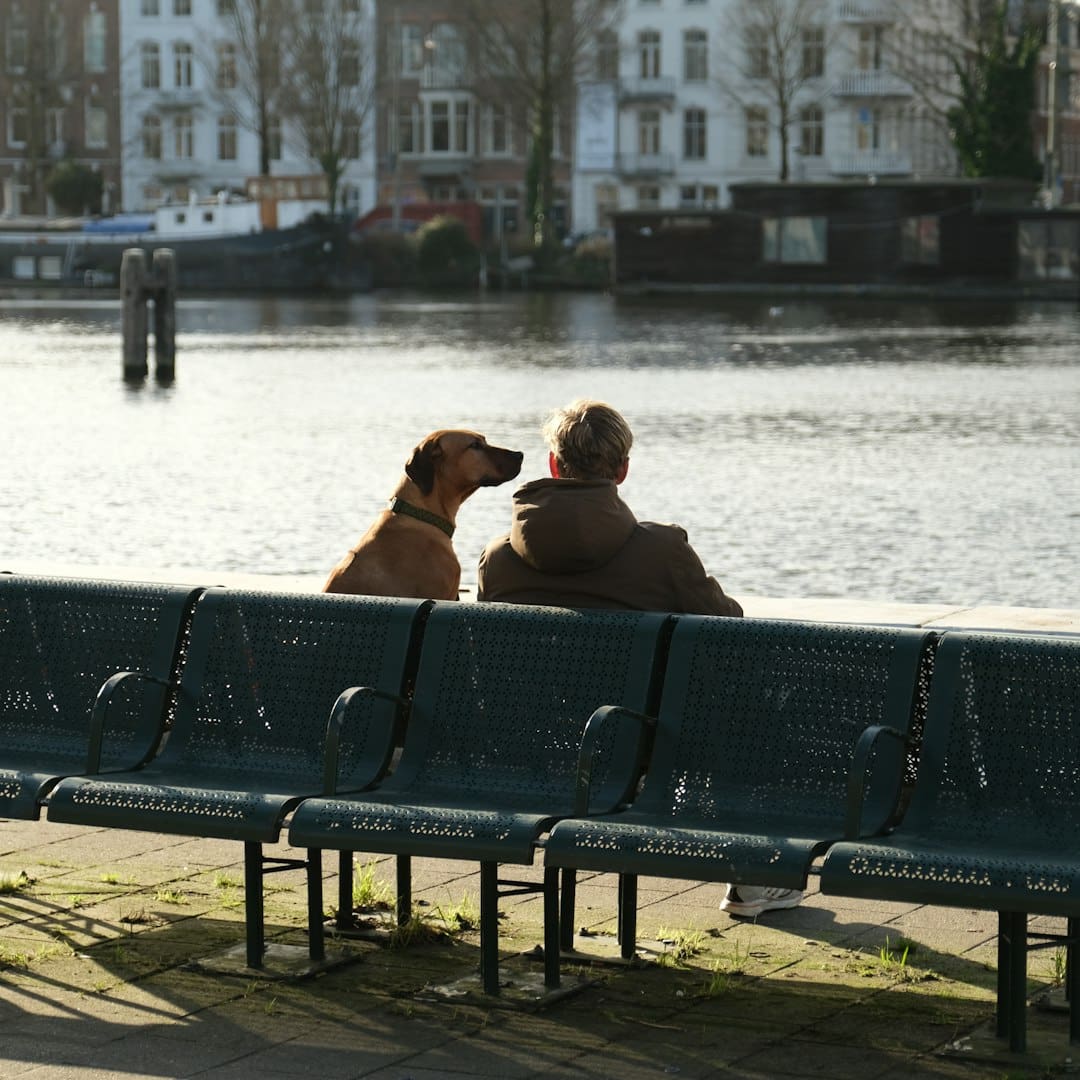 support animal vest — a man and a dog are sitting on a bench