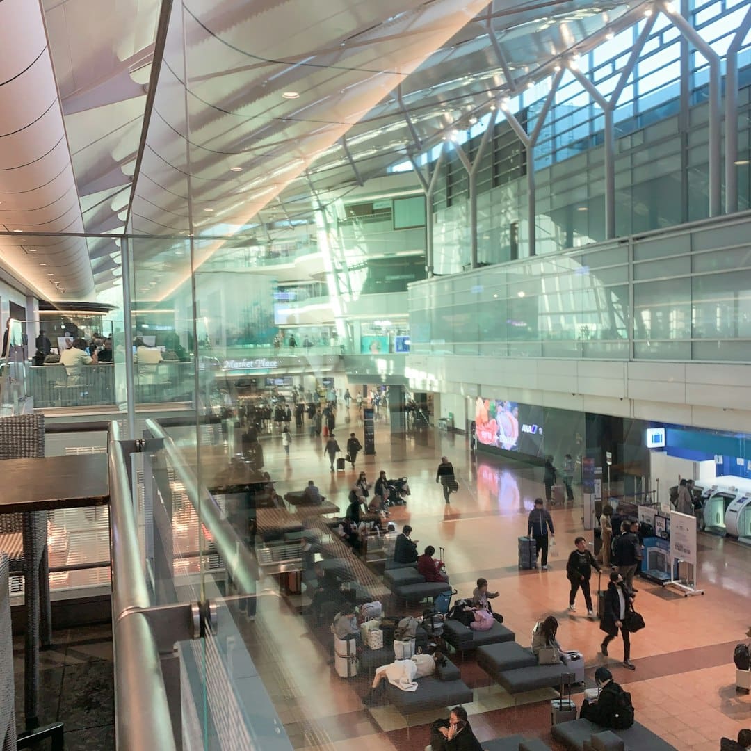 flying with a service dog — Busy airport terminal with travelers waiting and walking