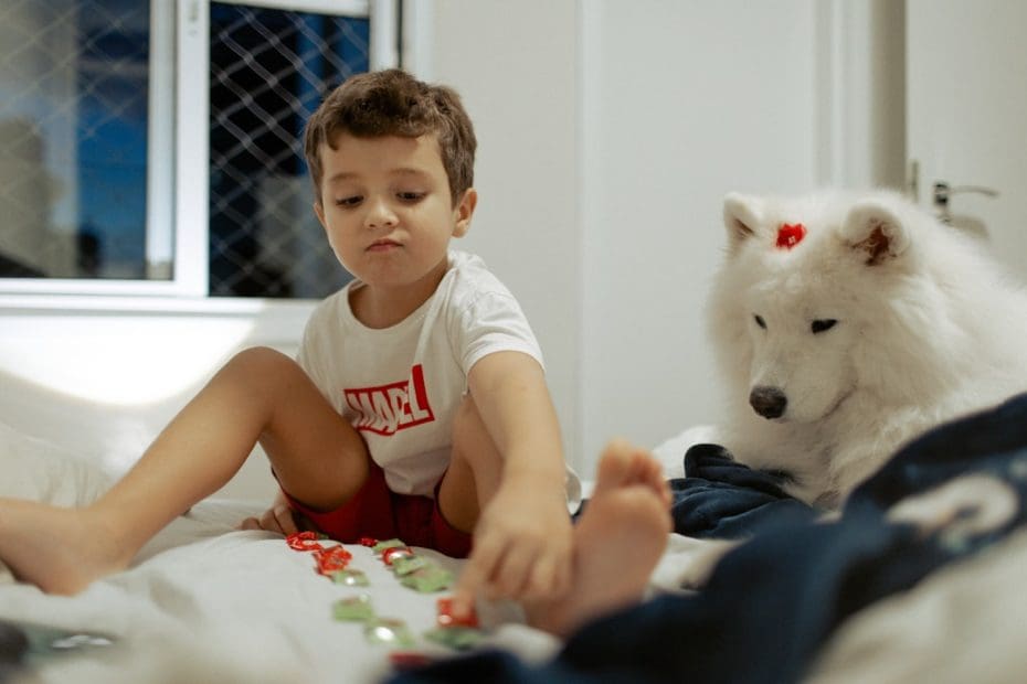 support animal rights — Roommate Has Allergies: Can Your Landlord Reject Your Support Animal?