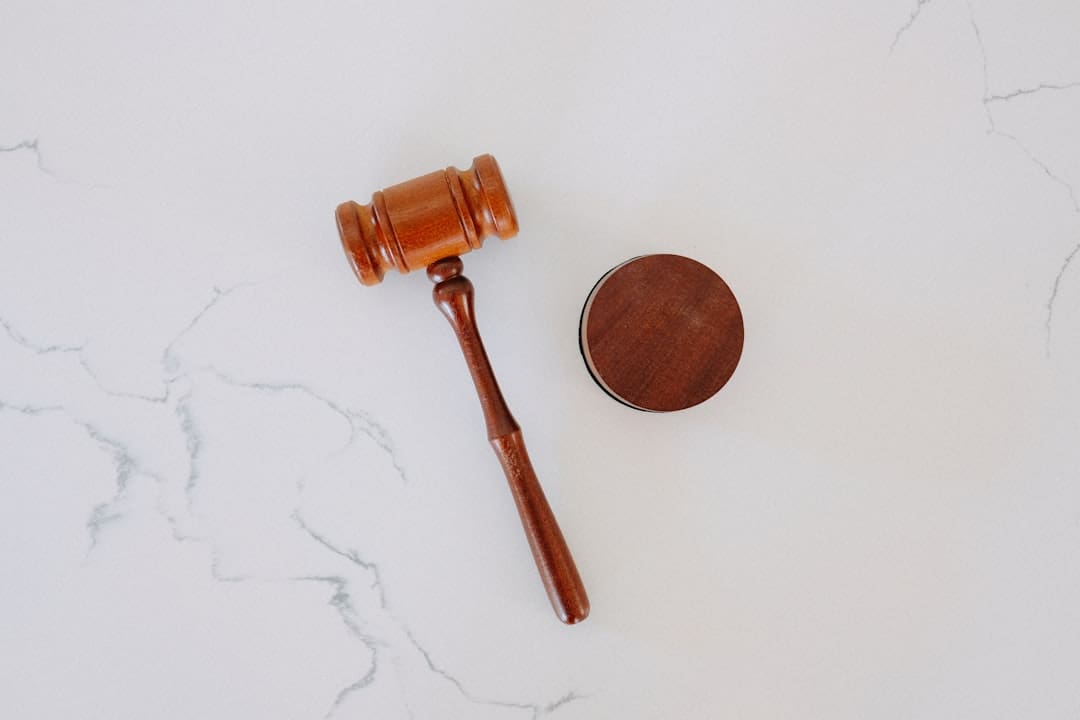 Florida support animal law — wooden gavel and block on marble