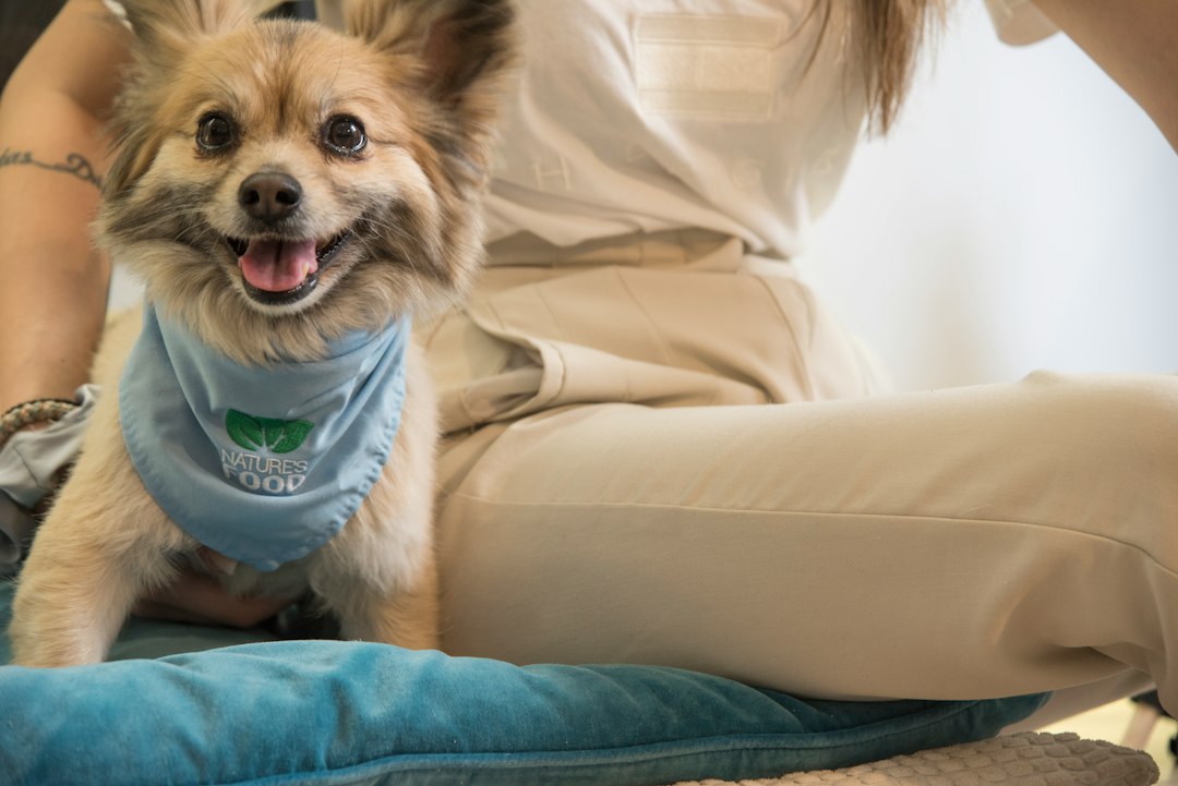 support animal letter — a dog with a medical device in its mouth