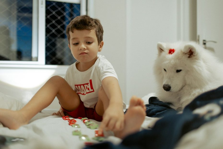 support animals condos — Support Animals in Condos and HOAs: What the Fair Housing Act Actually Requires